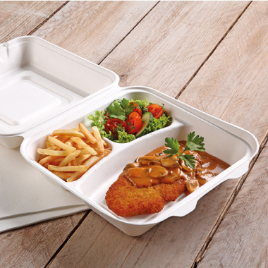 25 Menüboxen, Zuckerrohr -pure- 3-geteilt 8,5 cm x 24,5 cm x 24,5 cm weiss