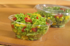 50 Salatschalen, PET rund 1 l Ø 18 cm 7,5 cm glasklar