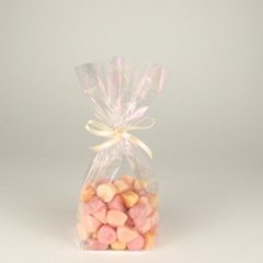 10 Bodenbeutel, PP 23,5 cm x 14,5 cm x 6 cm transparent