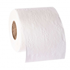 8 Rollen Toilettenpapier, Basic 2-lagiges Tissue 9,5 cm x 11,5 cm naturweiss à 250 Blatt