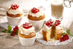 20 Muffins-Backförmchen Ø 5 cm 3,5 cm weiss