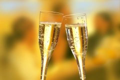 50 Stiel-Gläser (Oberteile) für Sekt, PS 0,1 l Ø 5 cm 17,5 cm glasklar