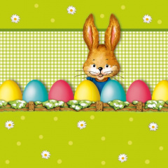 20 Servietten, 3-lagig 1/4-Falz 33 cm x 33 cm Hello Bunny