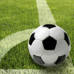 20 Servietten, 3-lagig 1/4-Falz 33 cm x 33 cm -Fußball-