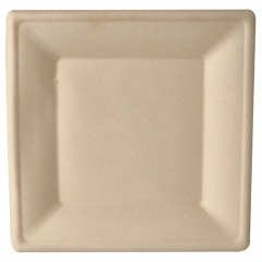 50 Teller, Zuckerrohr pure eckig 26 cm x 26 cm natur