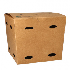 50 Pommes-Frites-Boxen, Pappe pure 14 cm x 14,5 cm x 14,5 cm braun 100% Fair groß