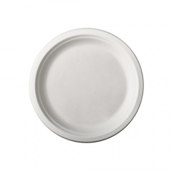 50 Teller, Zuckerrohr pure ungeteilt Ø 15 cm · 2 cm weiss